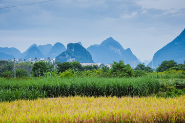 002263大东南股票股吧股吧